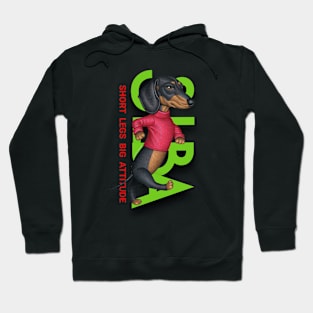 Short Legs Big Attitude Hoodie